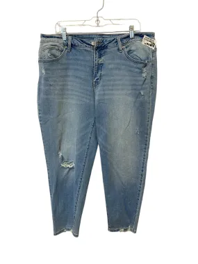 Blue Jeans Skinny Time And Tru, Size 18